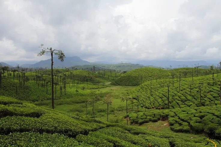 9 places to visit in Valparai