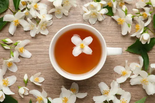 What is Jasmine Flower and what are its many benefits?