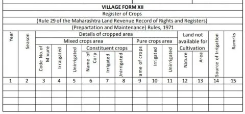 Satbara form XII