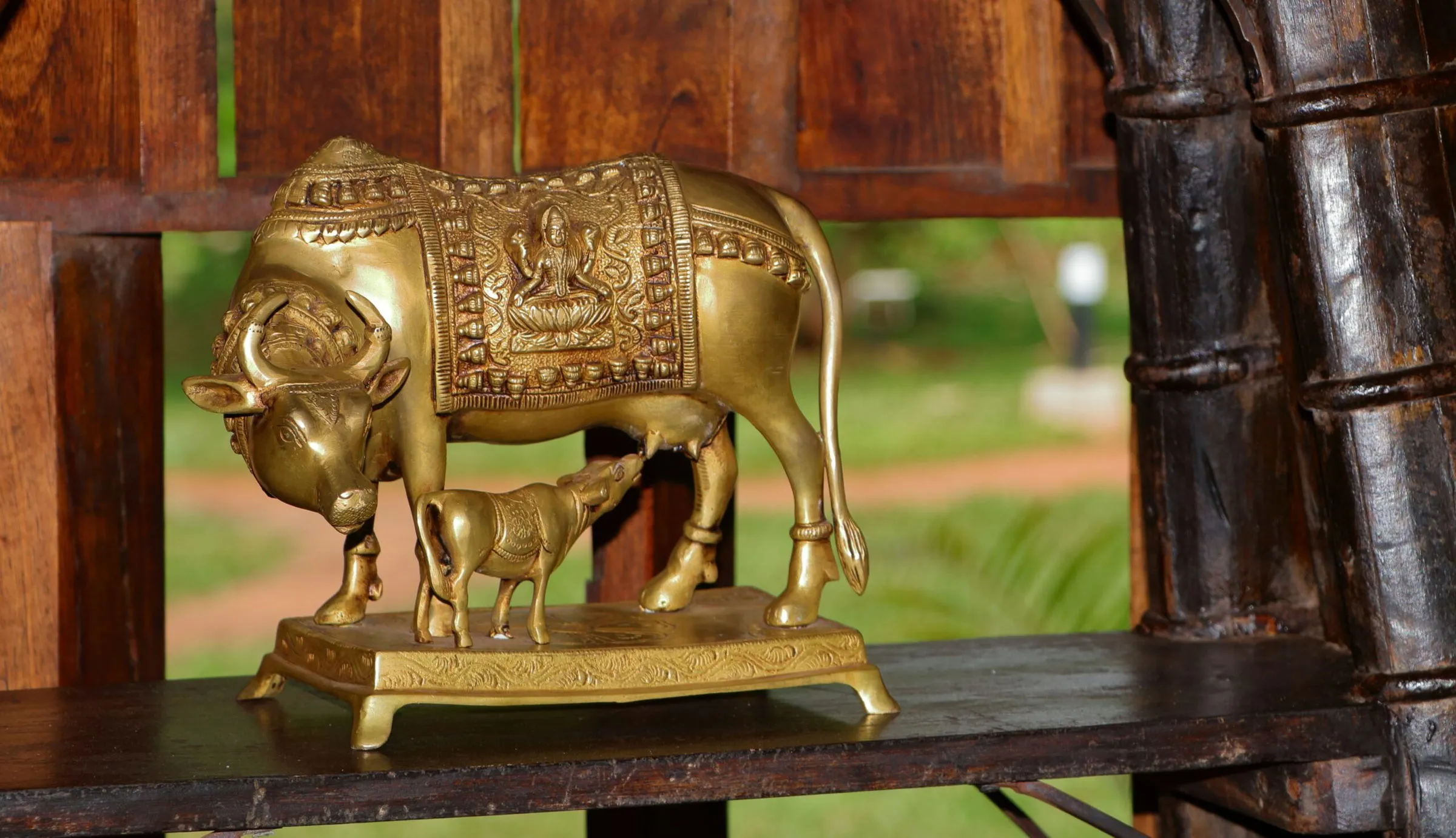 Cow Vastu: Know the right place to keep kamdhenu statue