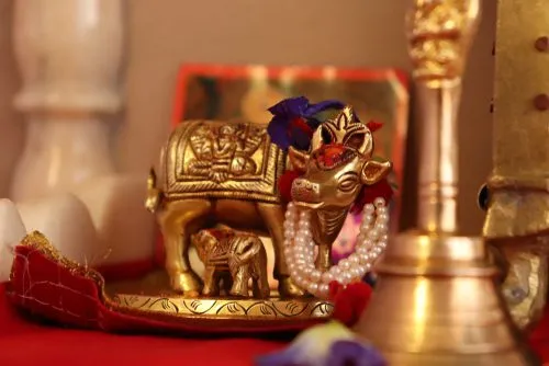 Cow Vastu: Know the right place to keep kamdhenu statue