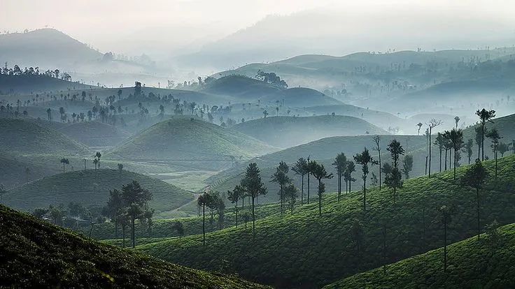 9 places to visit in Valparai