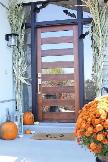 main door design