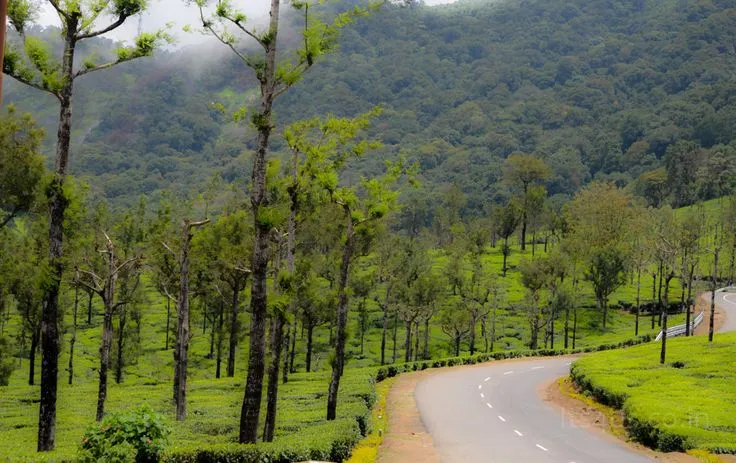 9 places to visit in Valparai