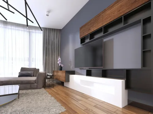 TV unit design ideas for hall