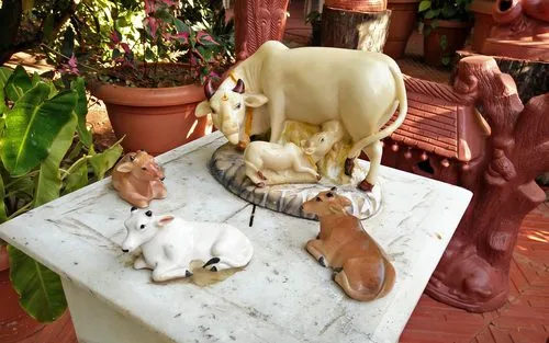 Cow Vastu: Know the right place to keep kamdhenu statue