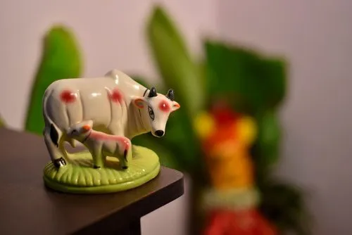 Cow Vastu: Know the right place to keep kamdhenu statue