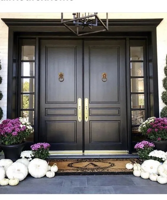 exceptiona main entrance door design