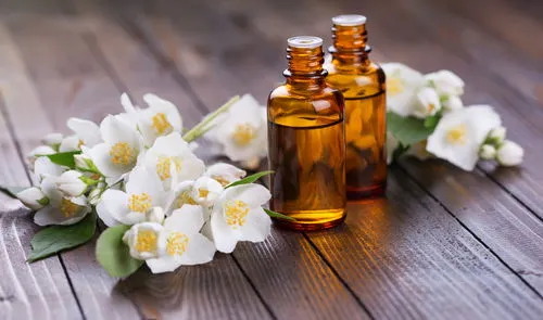 What is Jasmine Flower and what are its many benefits?